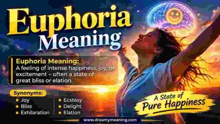 Euphoria Meaning